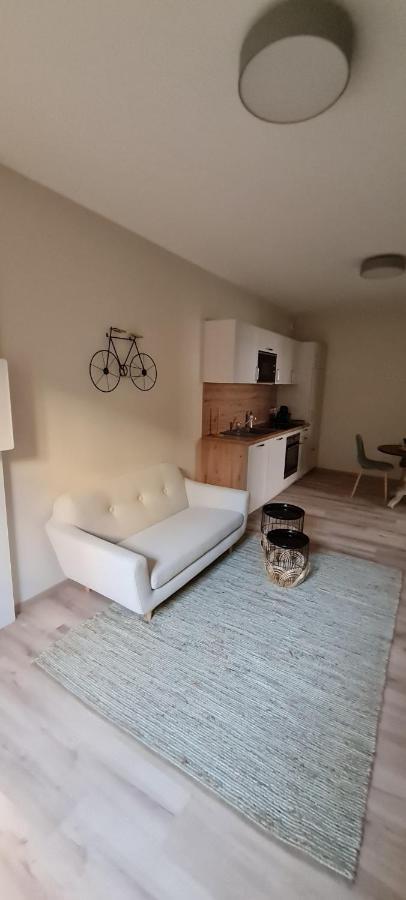 Les Coursives Appartements Mâcon Εξωτερικό φωτογραφία